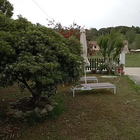 Olive House