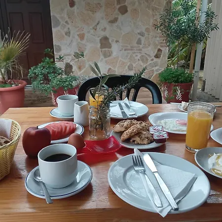 Olive House 3*