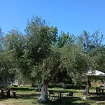 Olive House Μαραθιάς