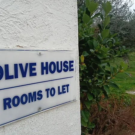 Olive House 3*