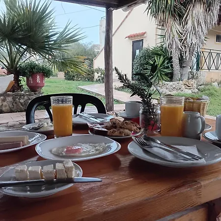 Bed and breakfast Olive House