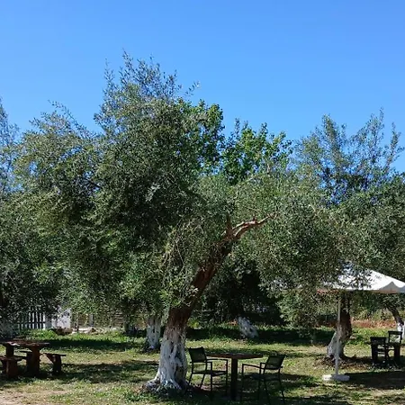 Olive House Marathias