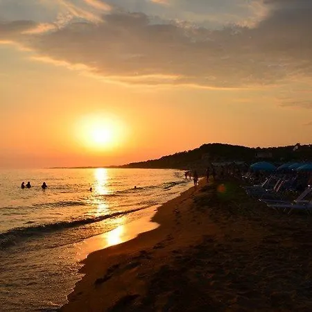 Bed and breakfast Olive House