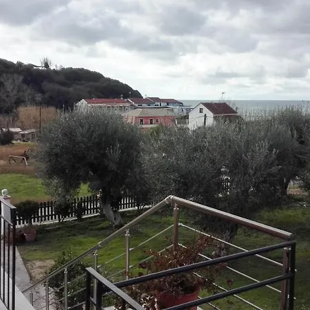 Bed and breakfast Olive House