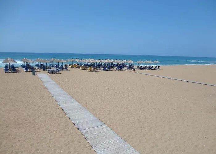 Nocleg ze śniadaniem Olive House 3*