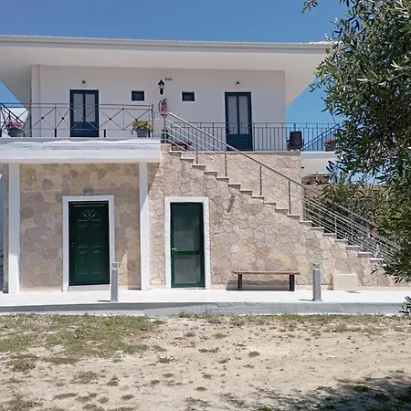 Olive House