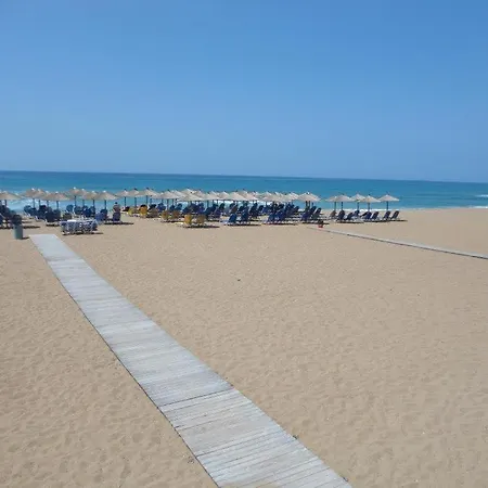 فندق مبيت وإفطار Olive House 3*