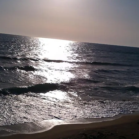 Olive House فندق مبيت وإفطار